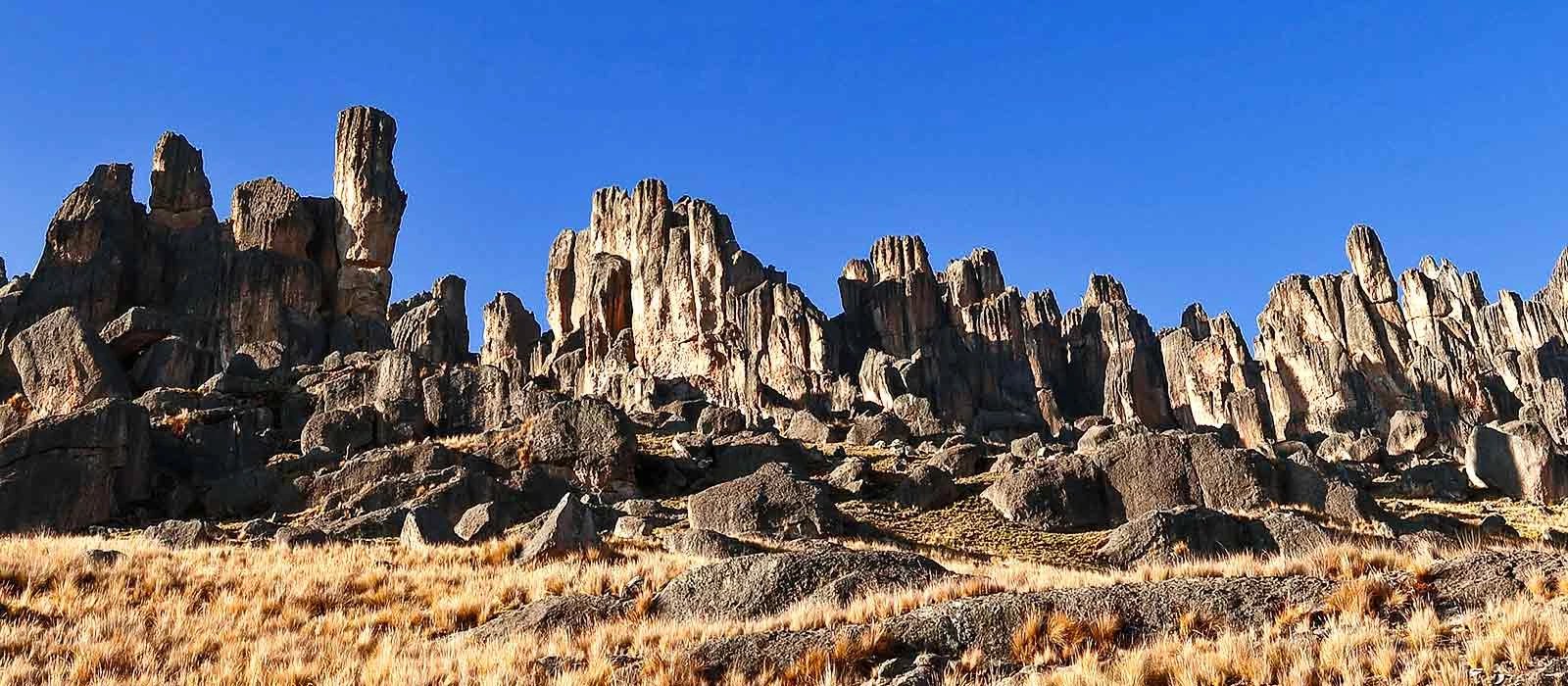 Raíces de Piedra – imagen 2